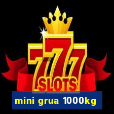 mini grua 1000kg